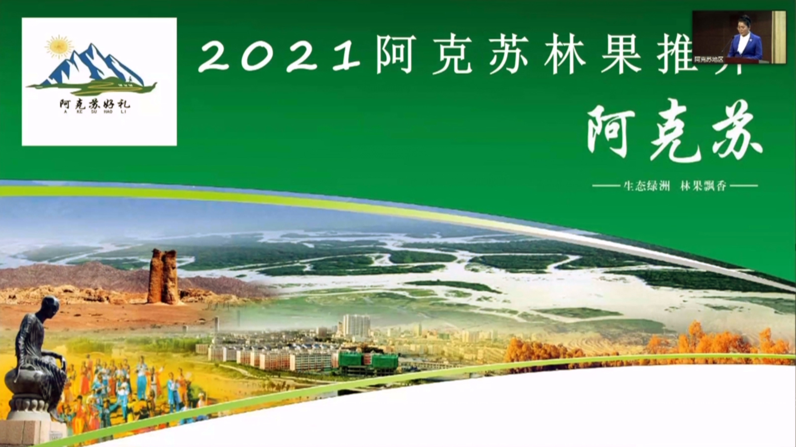 分會(huì)場(chǎng)嘉賓遠(yuǎn)程連線進(jìn)行云推介