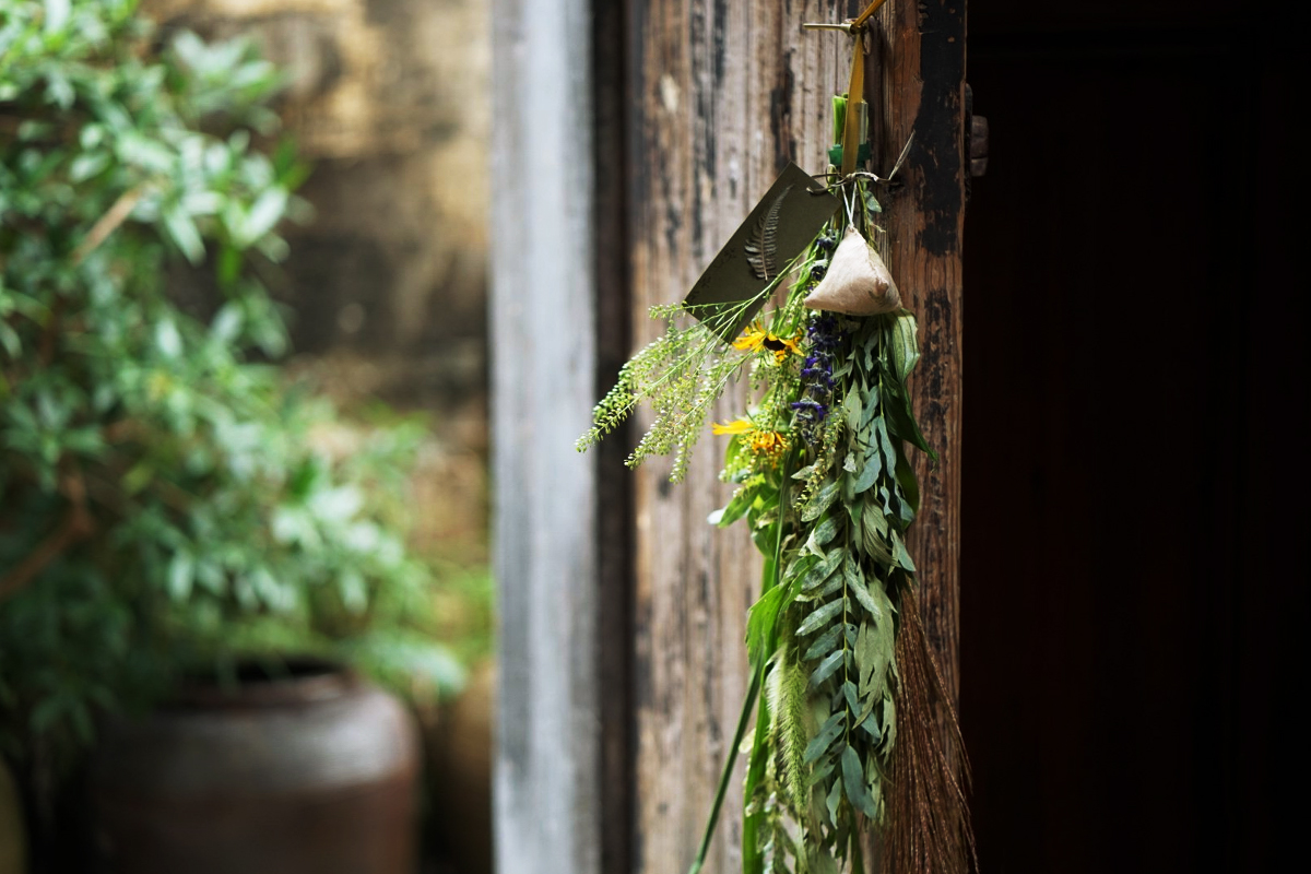 端午節采摘艾草、掛艾草習俗