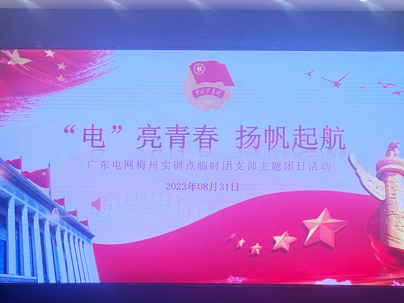 團支部主題黨日活動