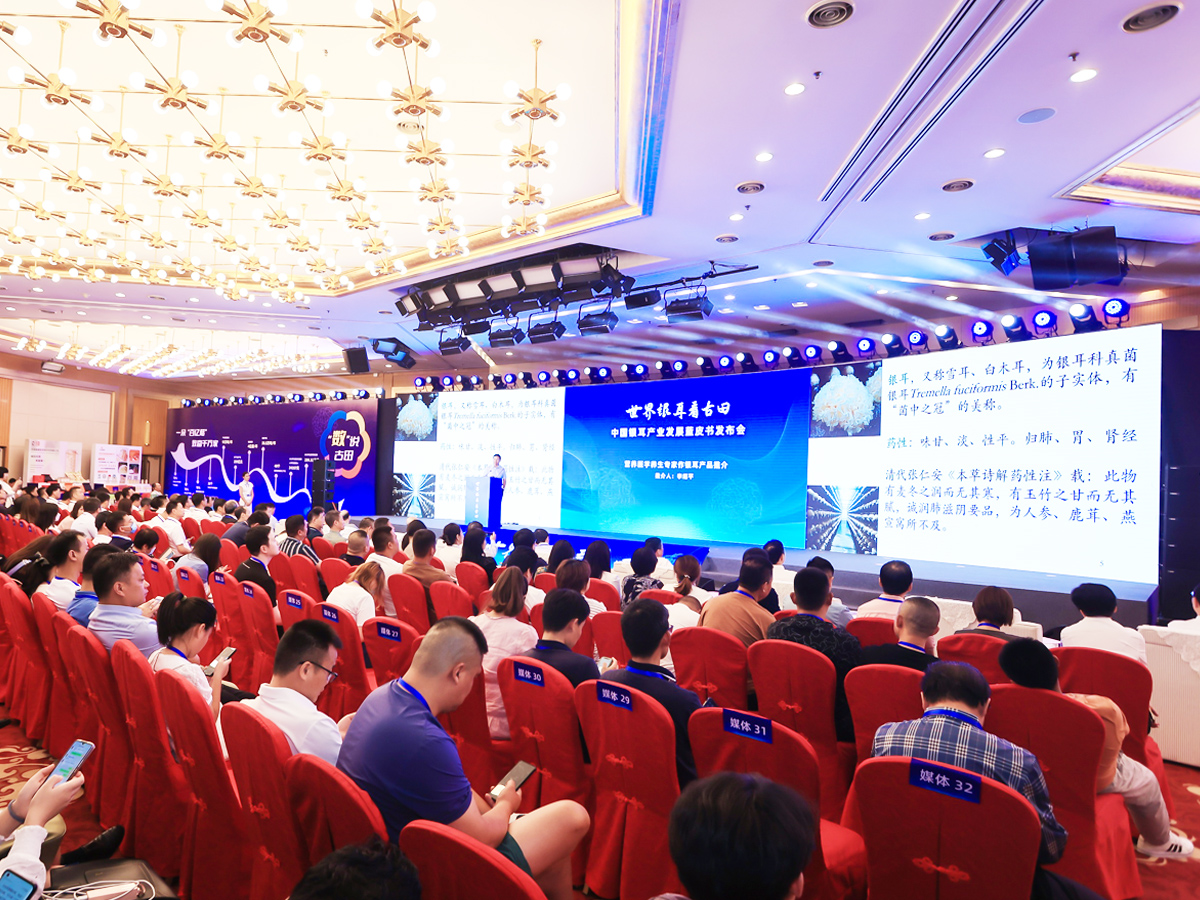 產(chǎn)品發(fā)布會