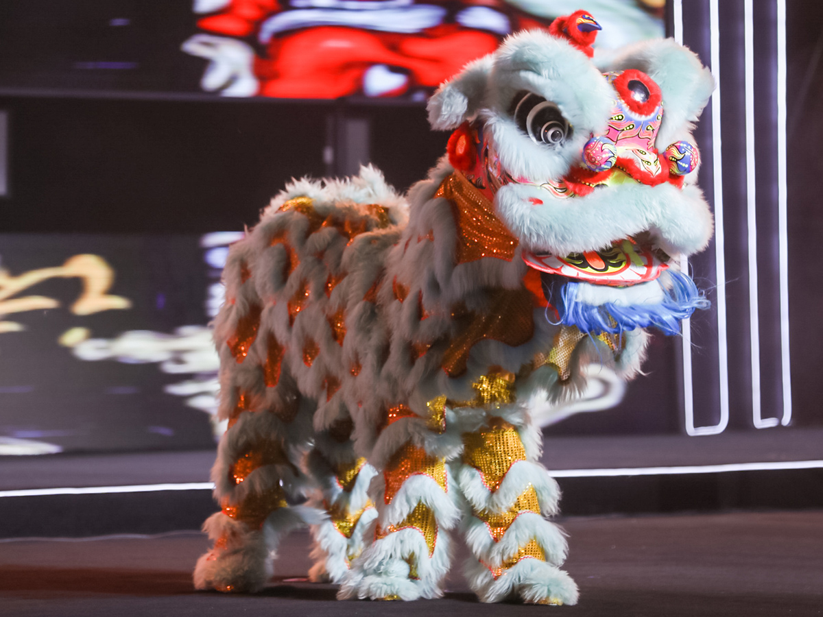 公司開業(yè)儀式舞獅表演