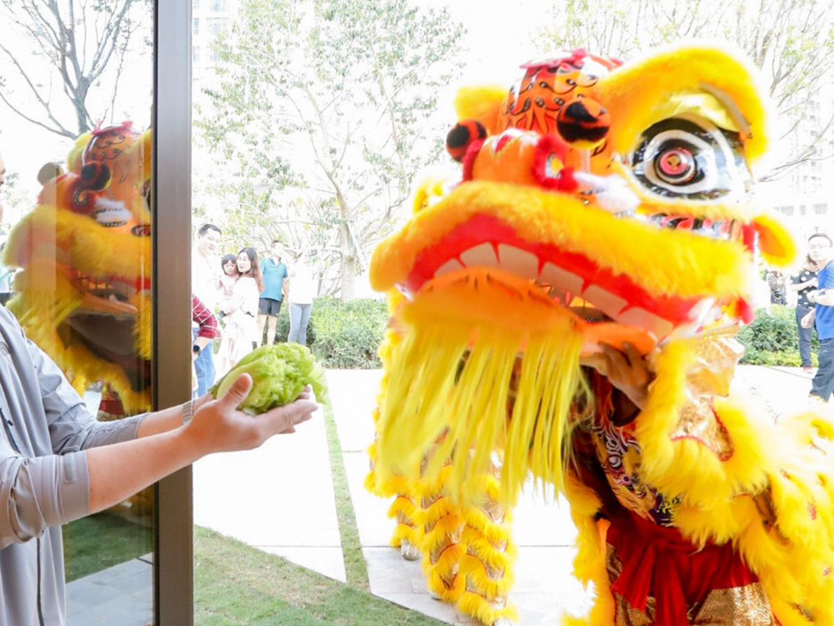 開業(yè)慶典舞獅