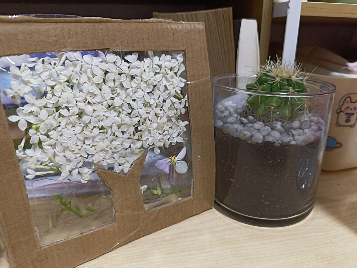 變廢為寶作品展示